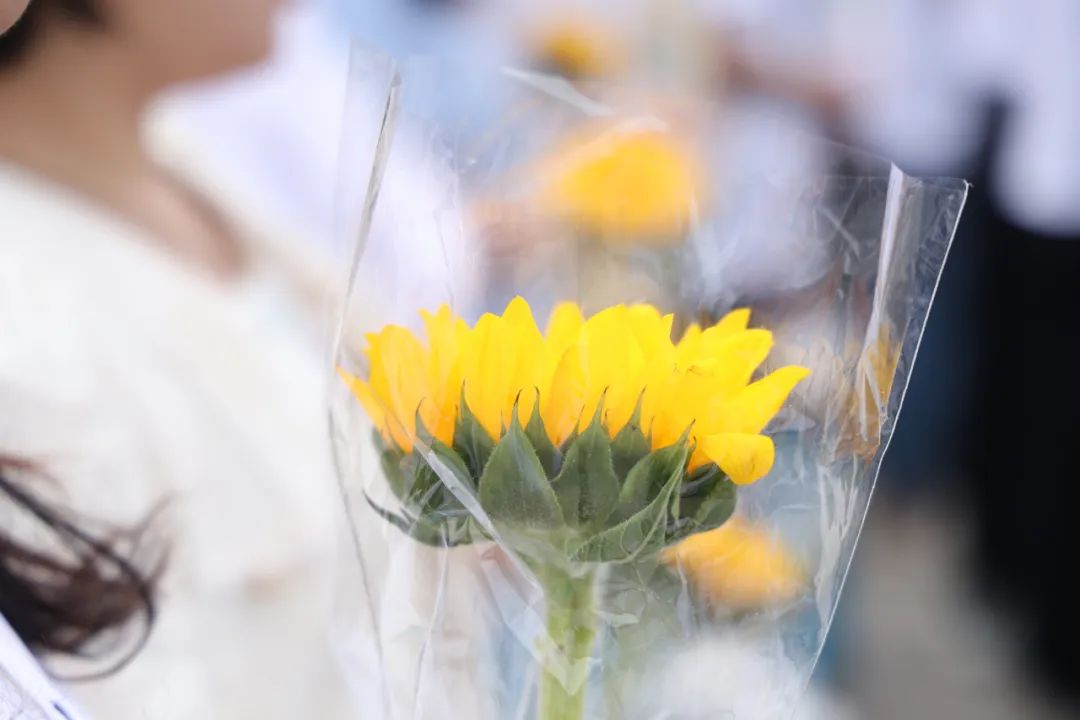 洛阳栾川一高校长_栾川一高2025届高三毕业典礼_校长王钰致辞