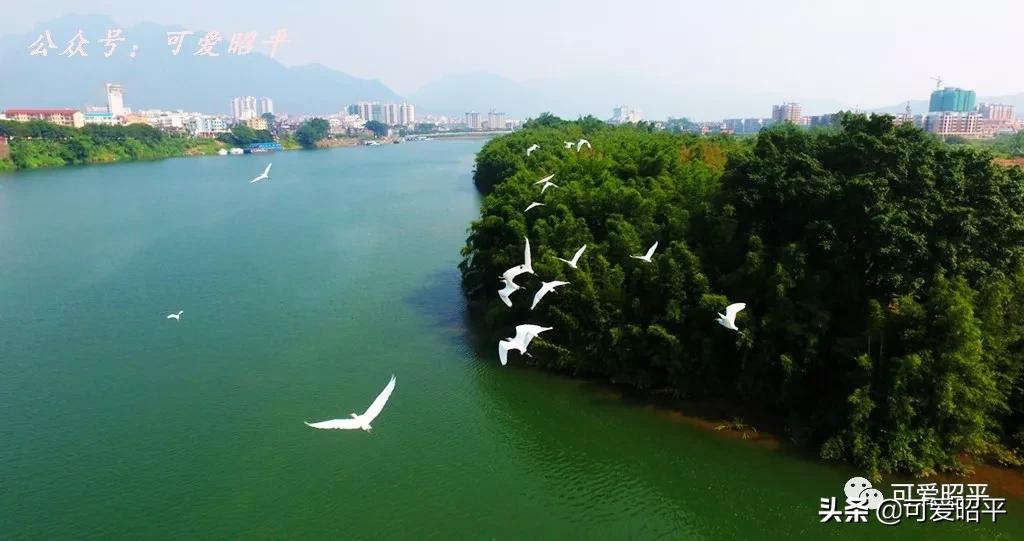 梧州到昭平的汽车_桂江旅游新格局_广西西江生态旅游带