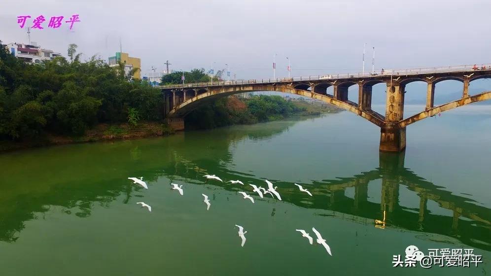 桂江旅游新格局_广西西江生态旅游带_梧州到昭平的汽车