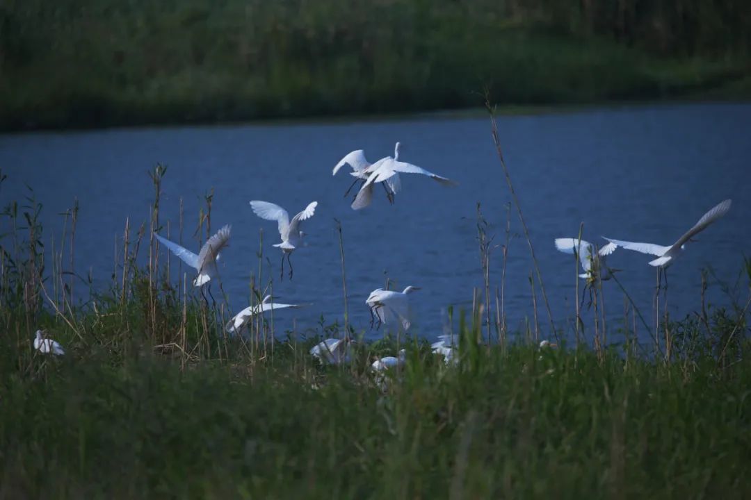 内蒙古博物院景点推荐_呼和浩特旅游攻略_呼市最新二手房急售