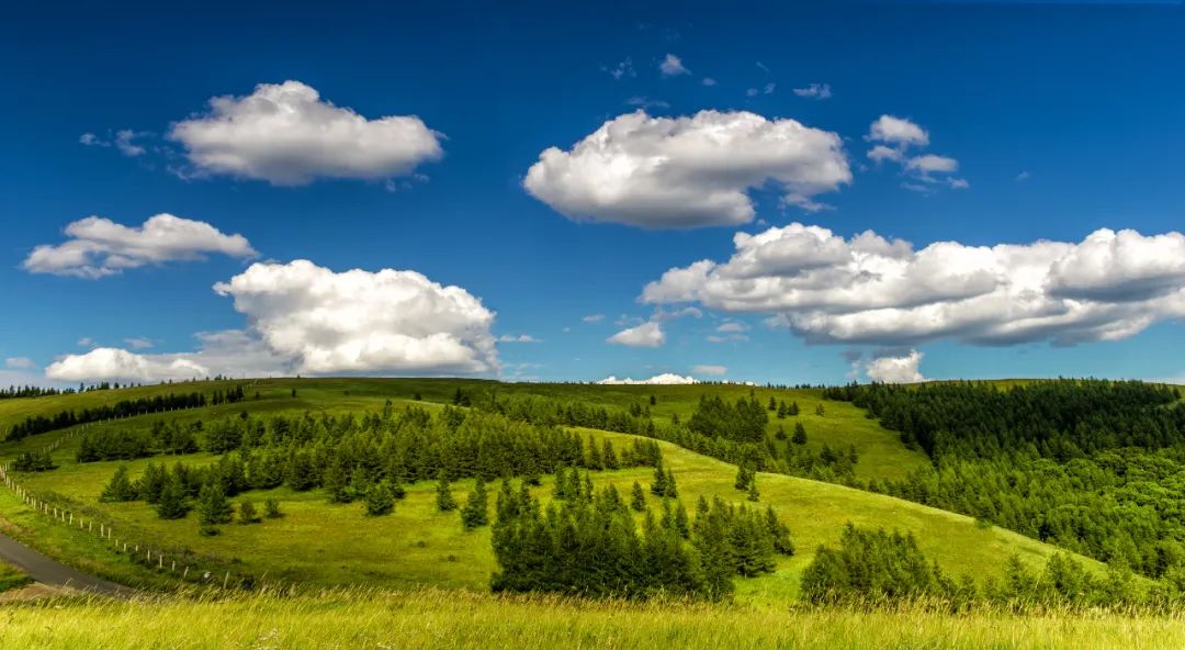 呼和浩特旅游攻略_内蒙古博物院景点推荐_呼市最新二手房急售