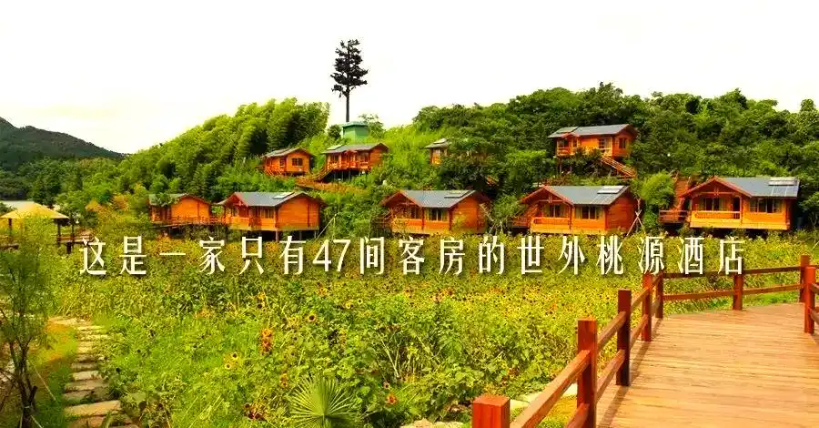 探索宁波东钱湖纪家庄的静谧奢华与周边魅力