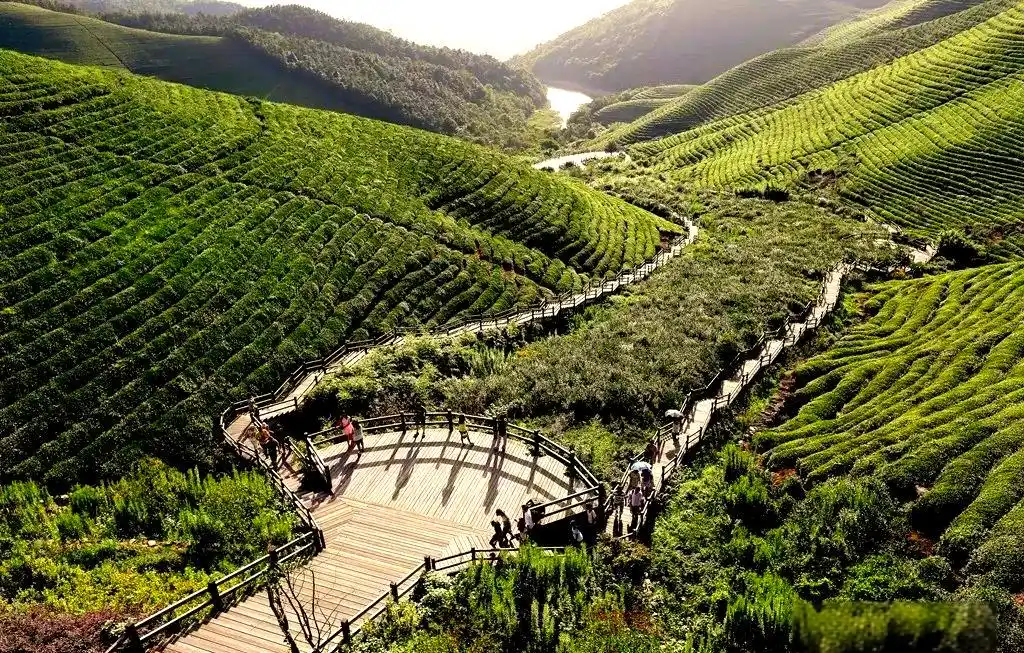 东钱湖纪家庄小木屋住宿体验_东钱湖别墅日租房_宁波东钱湖纪家庄开元度假村