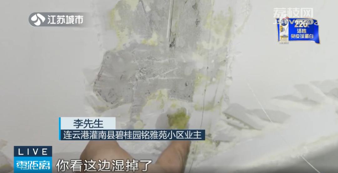 连云港灌南县碧桂园铭雅苑墙体开裂维修纠纷_碧桂园铭雅苑业主维权墙体渗水问题_连云港碧桂园二手房
