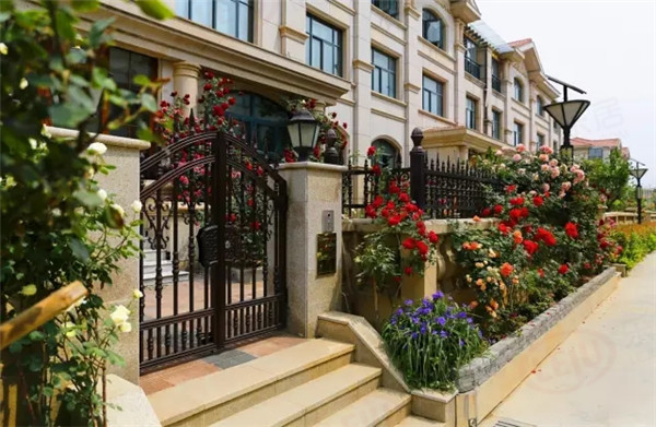 连云港碧桂园二手房_识破开发商骗局_连云港买房避坑指南