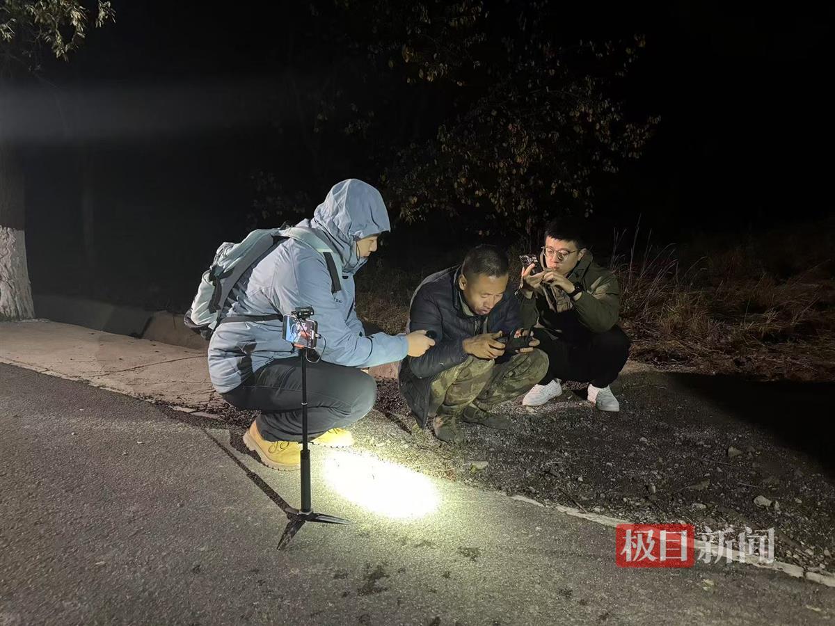 养野猪挣钱吗_金勇护农队野猪捕猎故事_宁夏固原西吉野猪防控猎捕