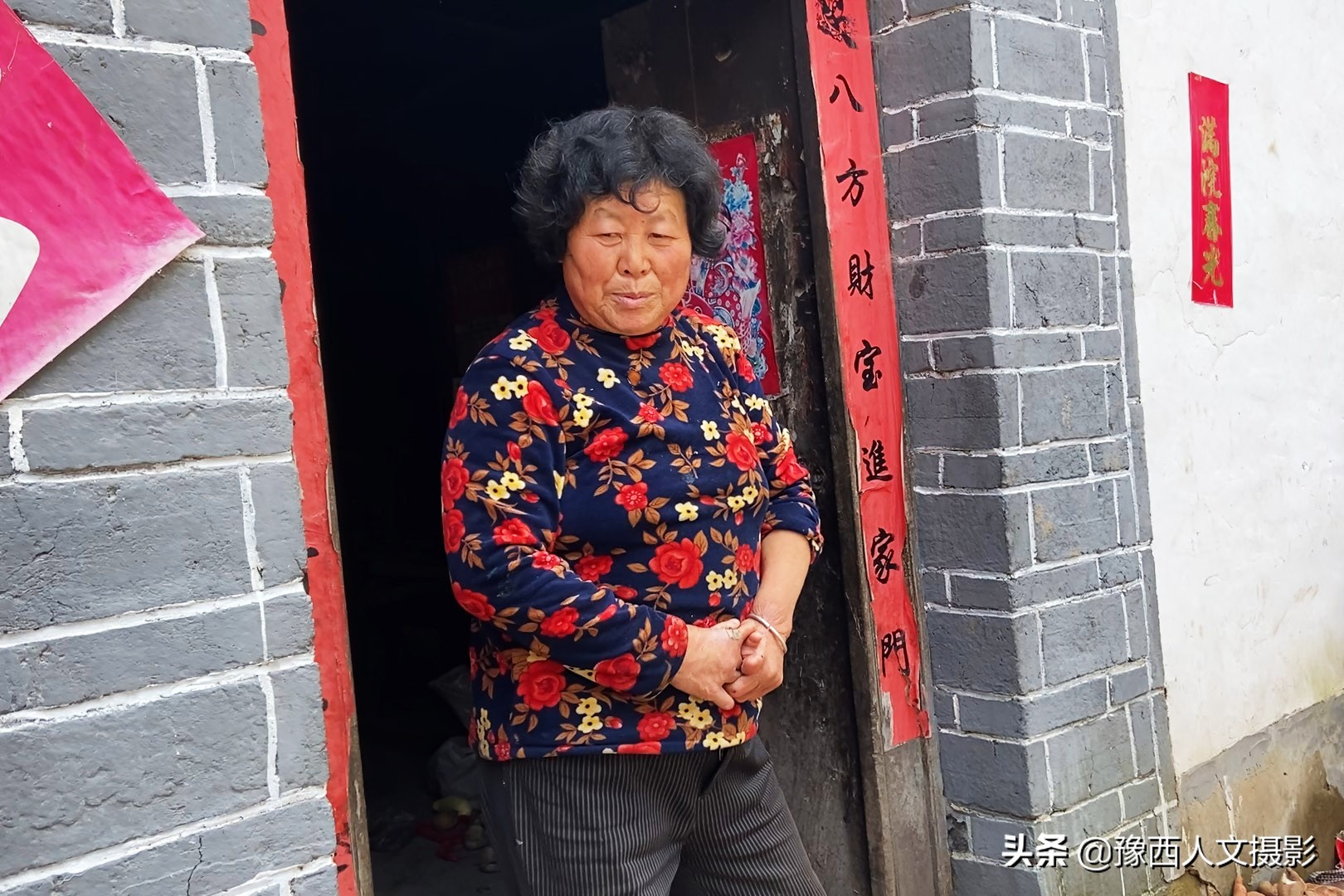 豫西黑猪养殖成本分析_养野猪挣钱吗_河南嵩县养猪现状