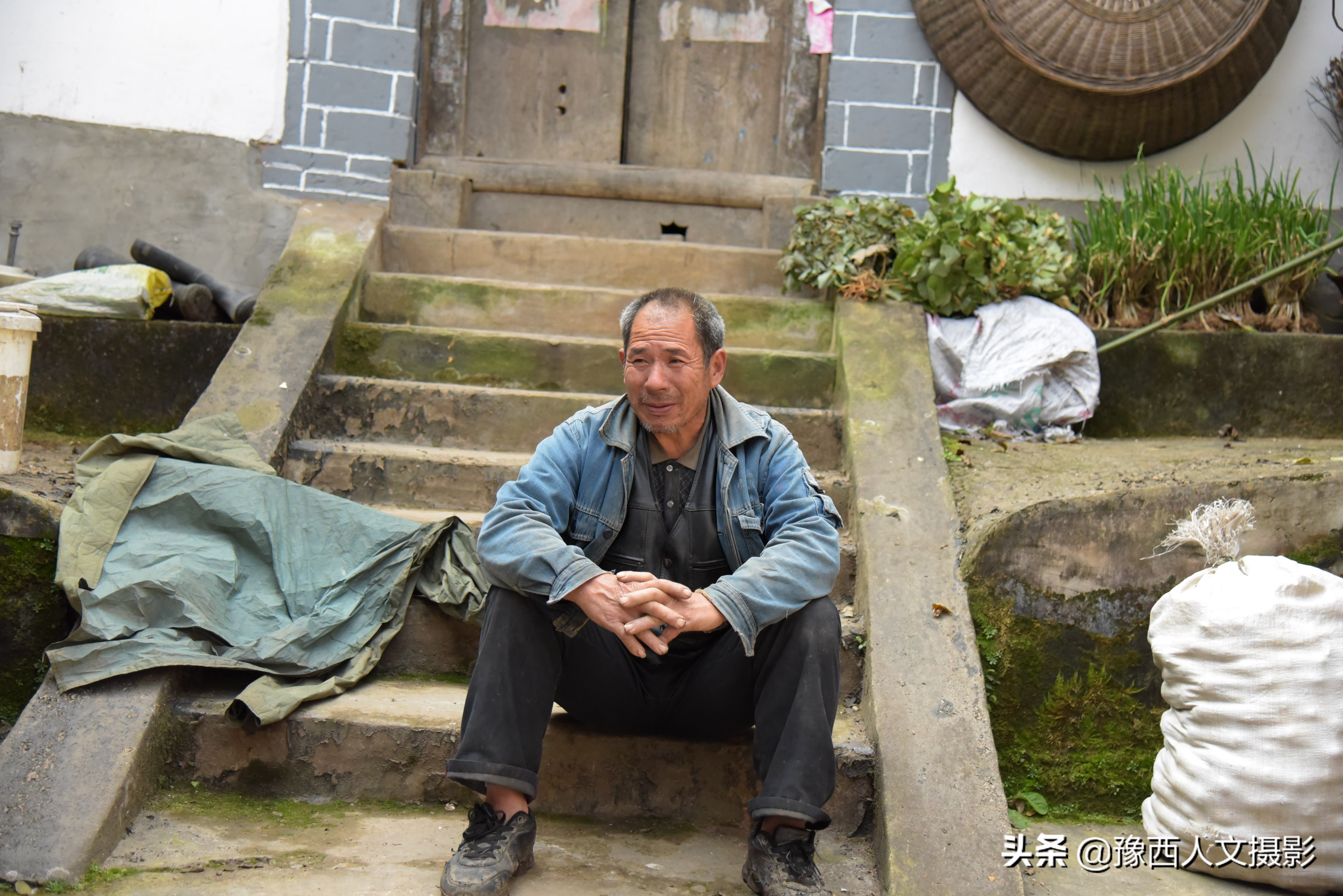 养野猪挣钱吗_河南嵩县养猪现状_豫西黑猪养殖成本分析