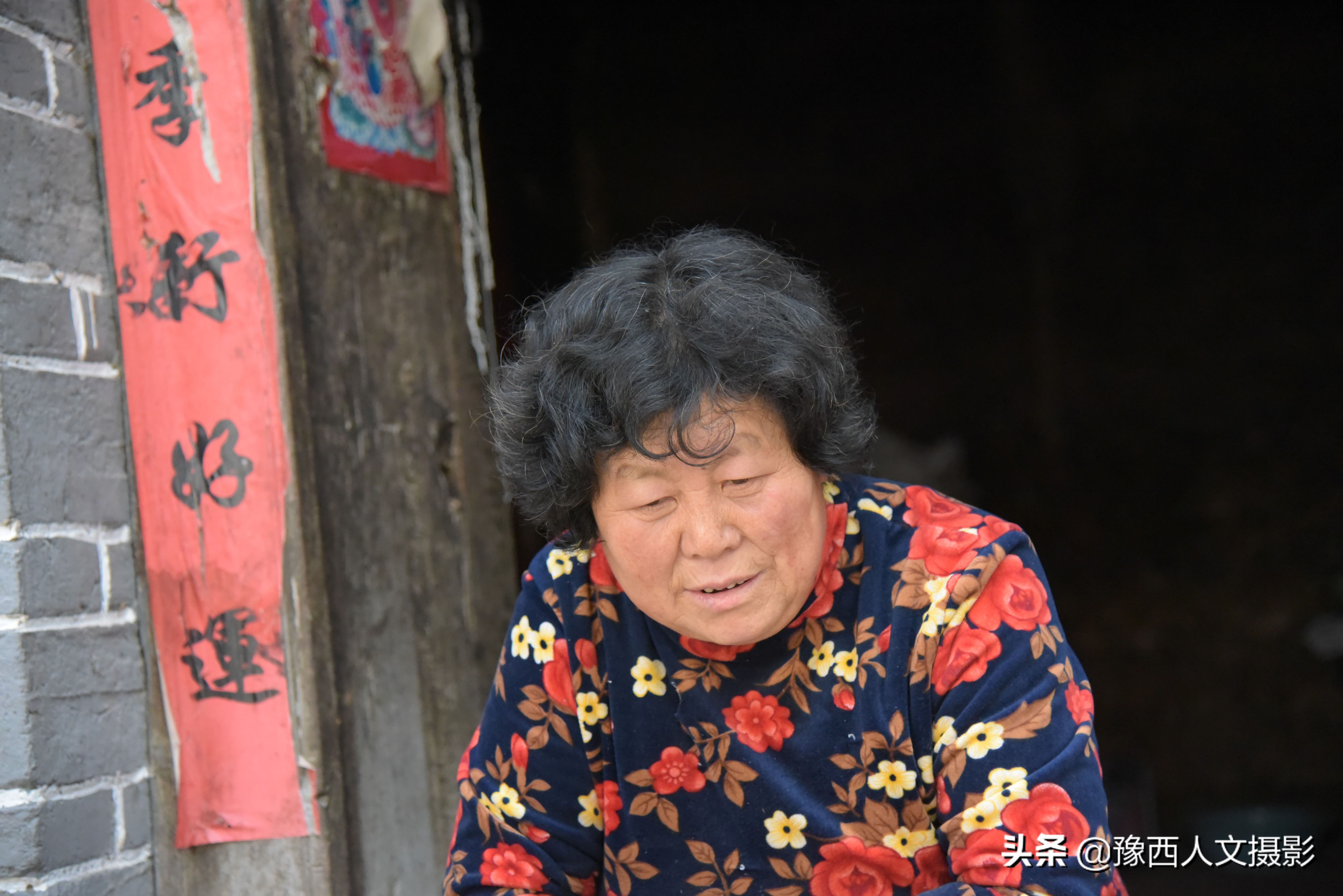 河南嵩县养猪现状_豫西黑猪养殖成本分析_养野猪挣钱吗