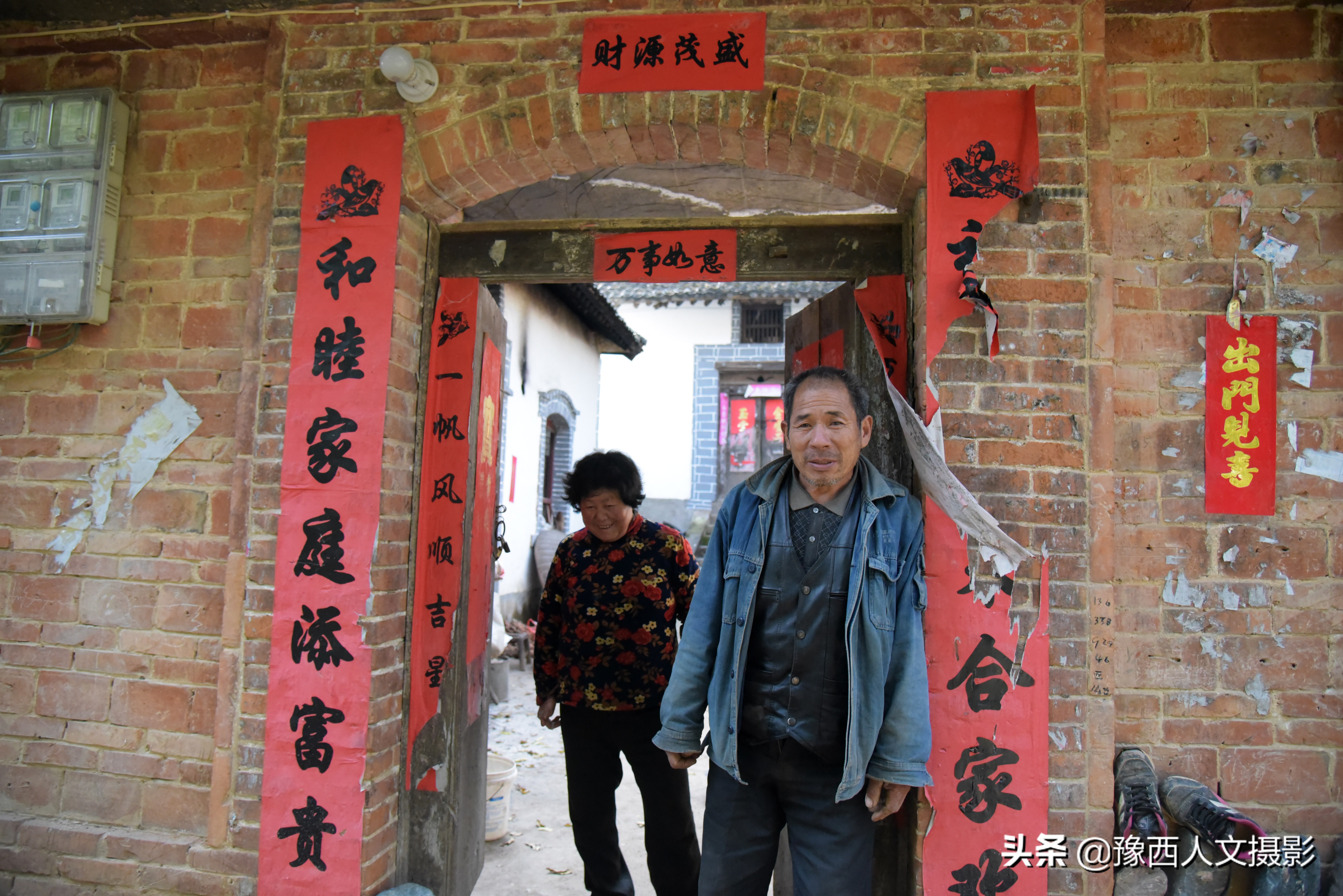 豫西黑猪养殖成本分析_河南嵩县养猪现状_养野猪挣钱吗